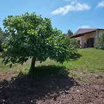 Casa Johann Willa *