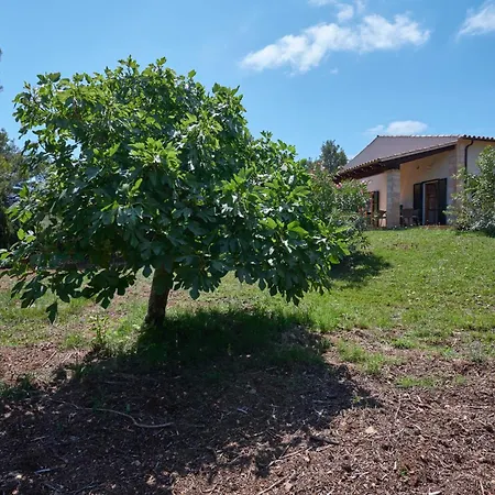 Casa Johann فيلة *