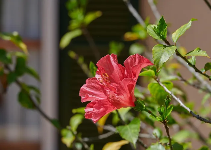 Casa Johann Capdepera